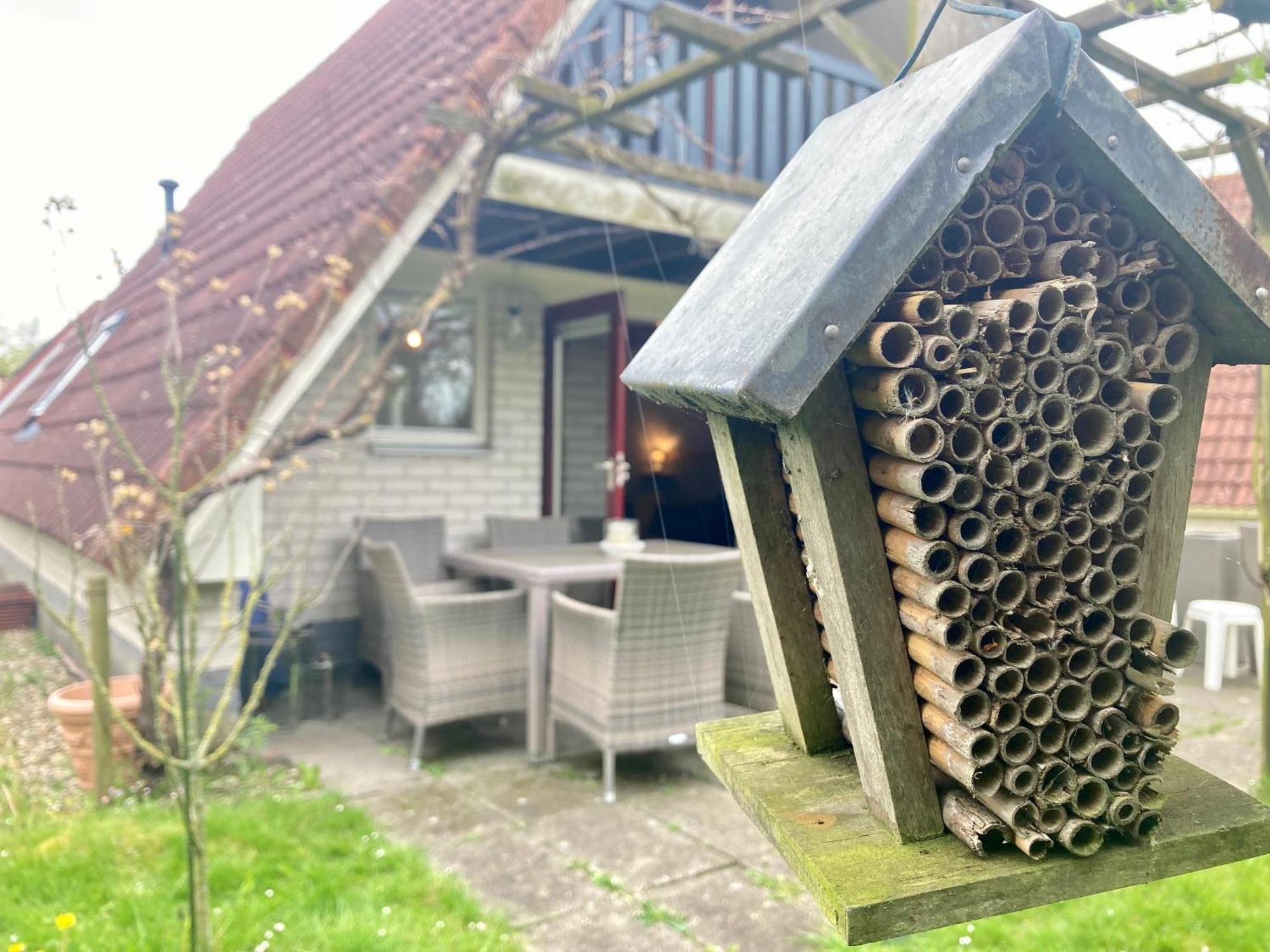 De Druif 6 Pers Holiday Home Close To The National Park Lauwersmeer Anjum Luaran gambar